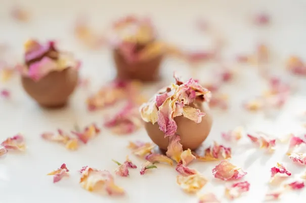 Casino Chilli Spins App Android/iOS